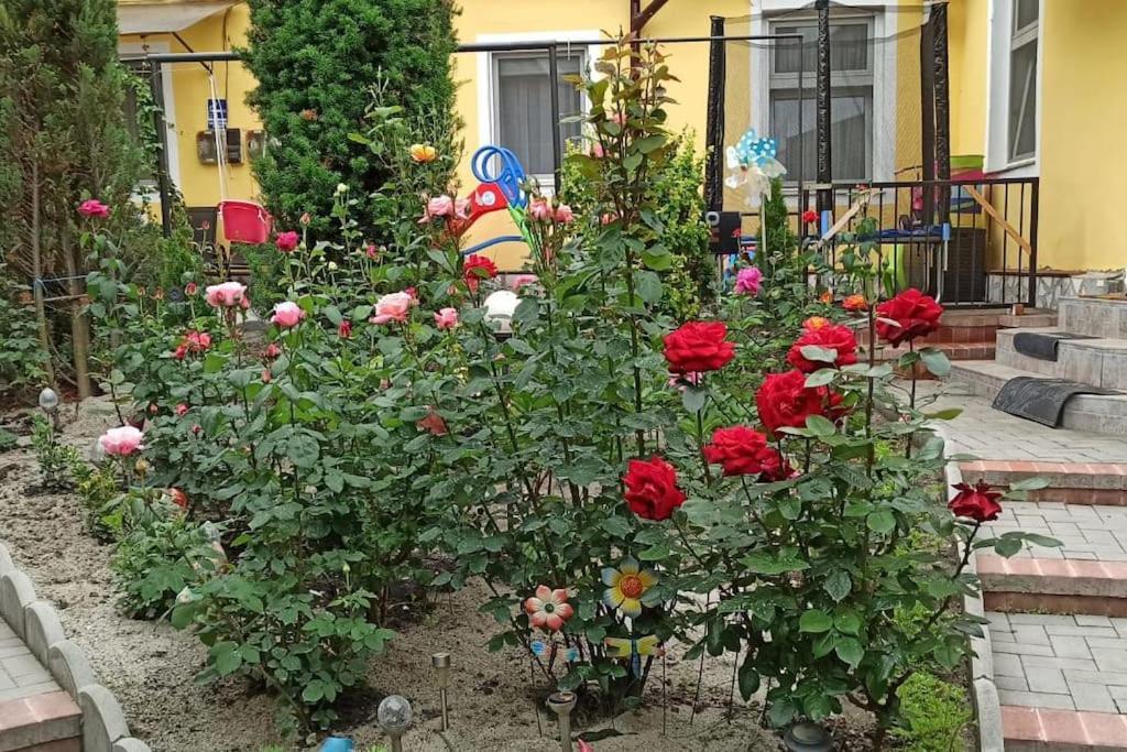 Color Home Hermannstadt 1 Εξωτερικό φωτογραφία